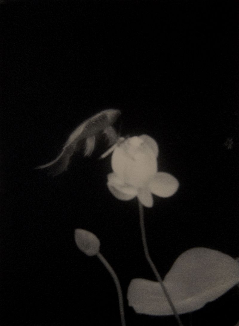 © Tomoko Nagakawa - Image from the I taste the blacklight photography project