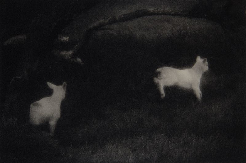 © Tomoko Nagakawa - Image from the I taste the blacklight photography project