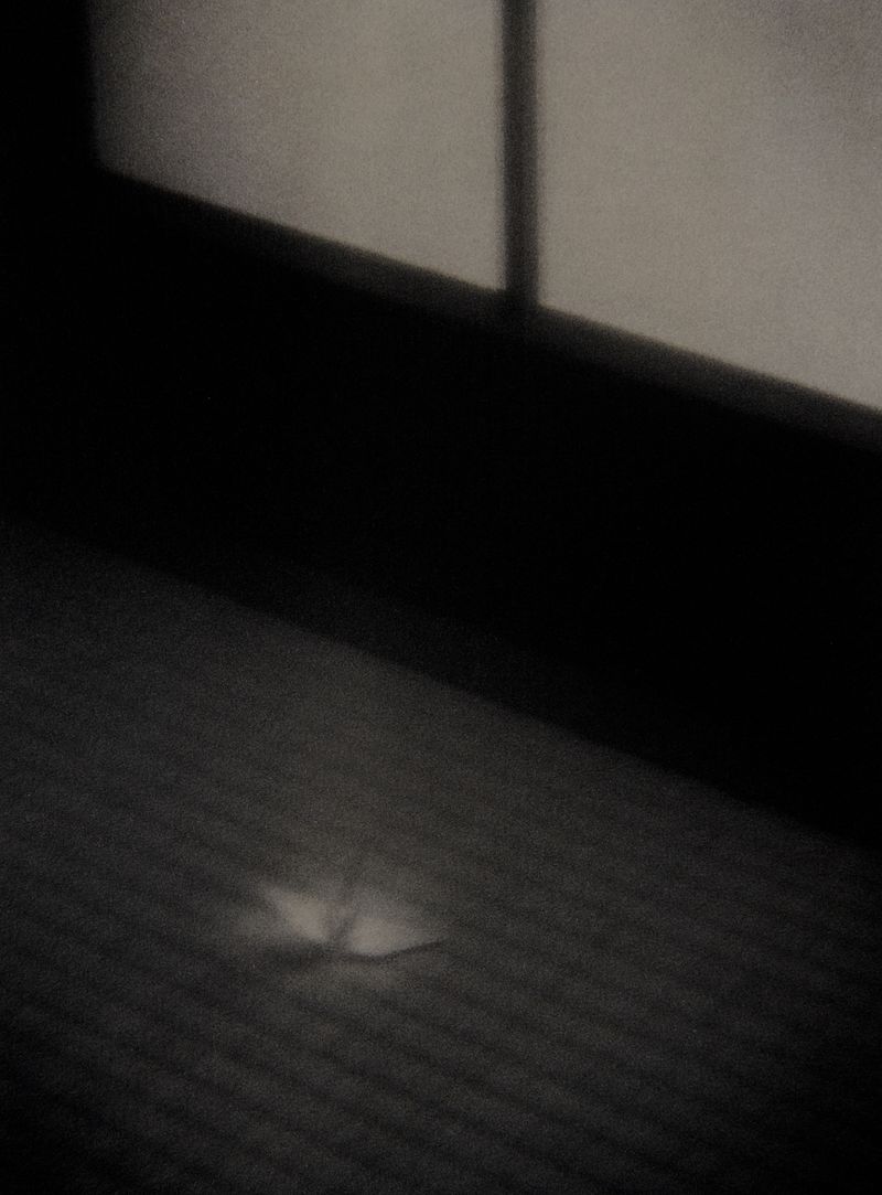 © Tomoko Nagakawa - Image from the I taste the blacklight photography project