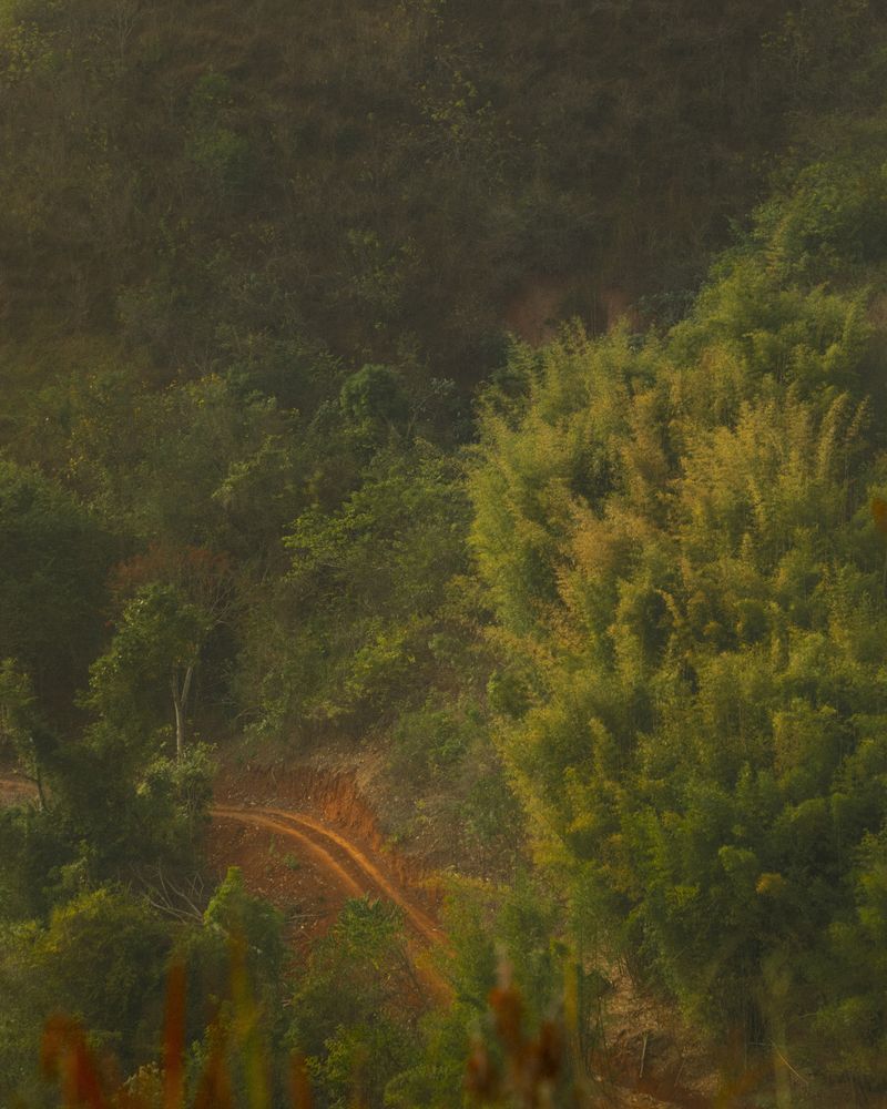 © Breno Rotatori - Image from the The Evening And The Morning And The Night photography project