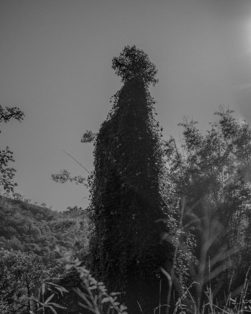 © Breno Rotatori - Image from the The Evening And The Morning And The Night photography project