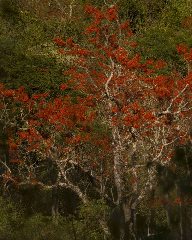 © Breno Rotatori - Image from the The Evening And The Morning And The Night photography project