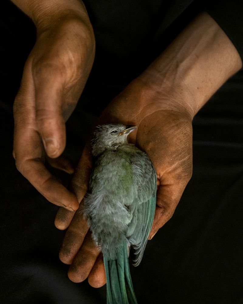 © Breno Rotatori - Image from the The Evening And The Morning And The Night photography project