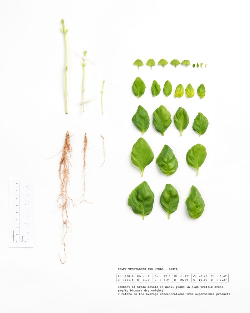 © Marie Lukasiewicz - Image from the STUDIE photography project