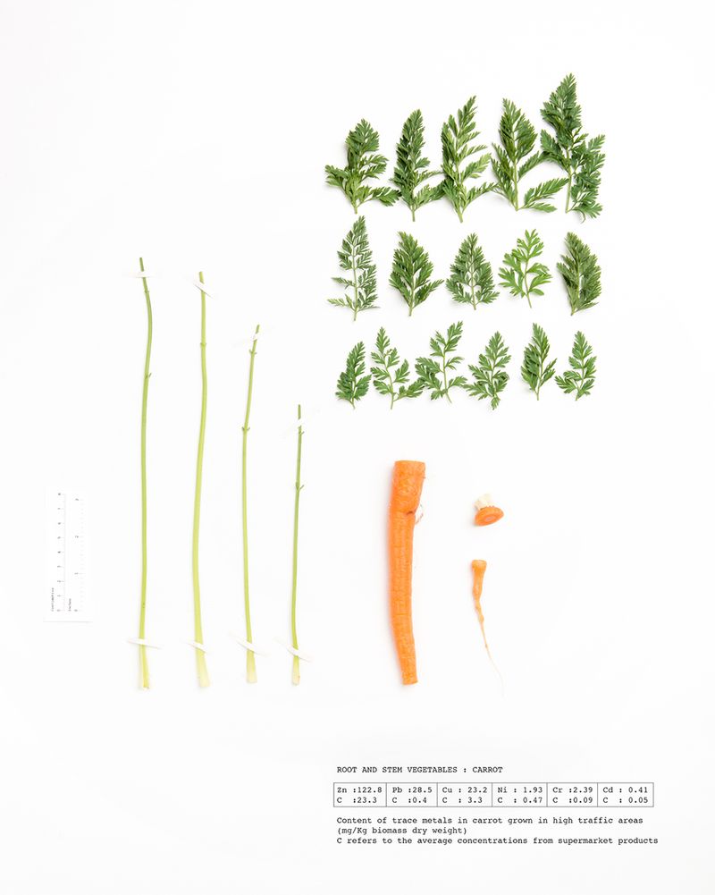 © Marie Lukasiewicz - Image from the STUDIE photography project