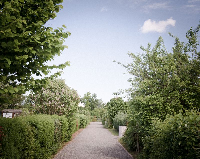 © Marie Lukasiewicz - Image from the STUDIE photography project