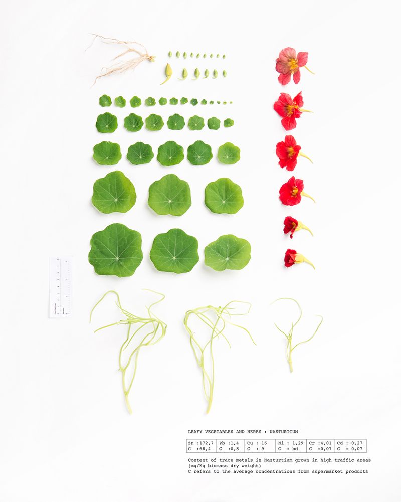 © Marie Lukasiewicz - Image from the STUDIE photography project