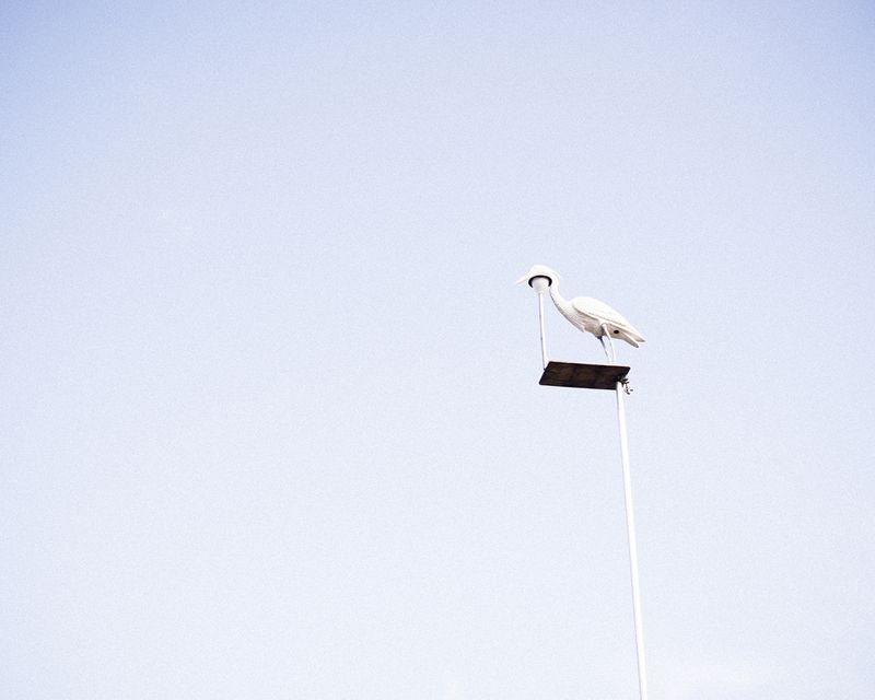 © Marie Lukasiewicz - Image from the STUDIE photography project