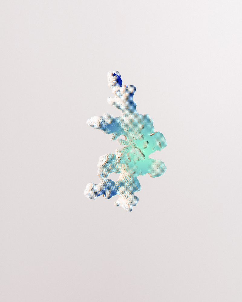 © Marie Lukasiewicz - Image from the Beyond Coral White photography project