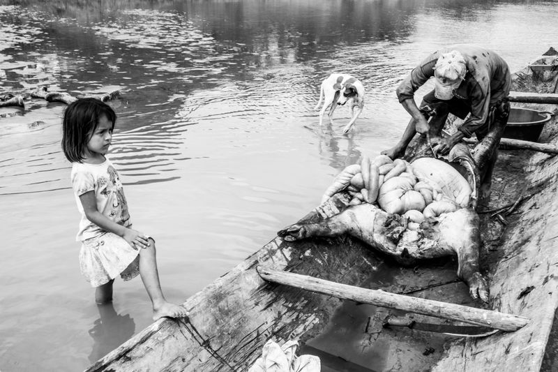 © Jason Houston - Image from the Last Wildest Place photography project