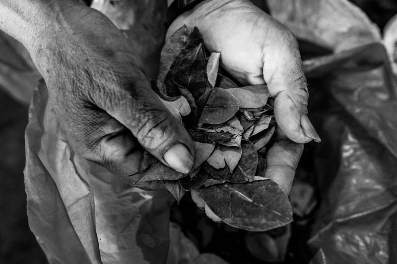 © Jason Houston - Image from the Last Wildest Place photography project