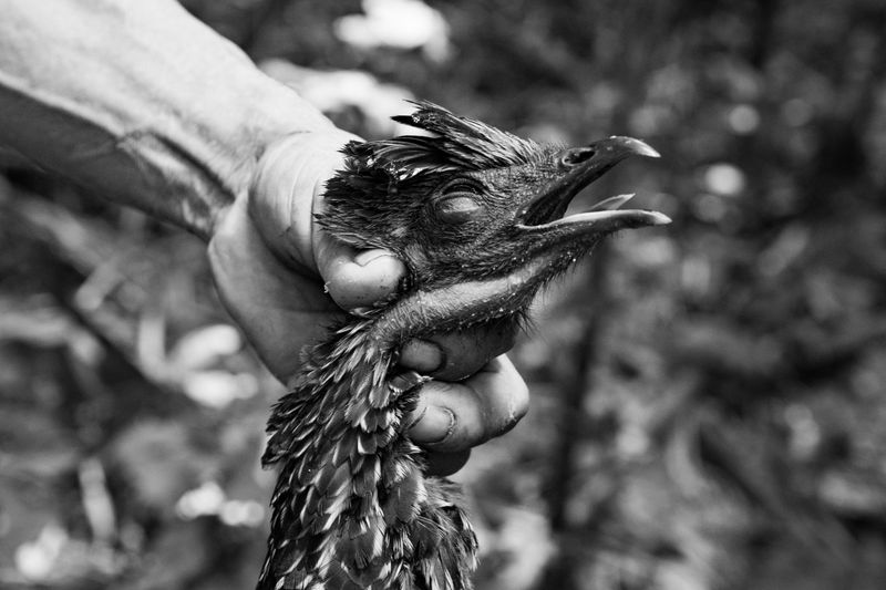 © Jason Houston - Image from the Last Wildest Place photography project