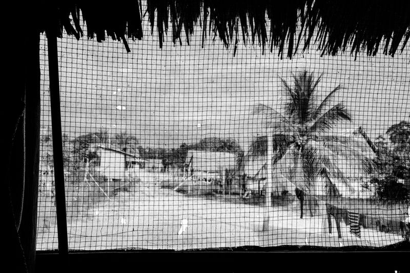 © Jason Houston - A morning scene from a window in the small Mastanahua village of Nueva Luz on the upper Purús River, Ucayali, Peru.
