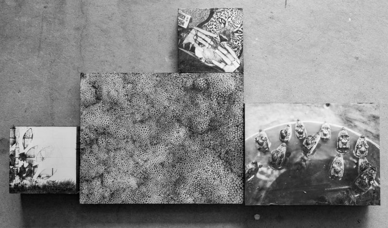 © Jason Houston - Image from the What Is Found There photography project