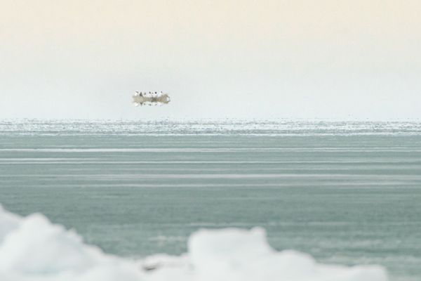 © Kiliii Yuyan - Image from the Land is life photography project