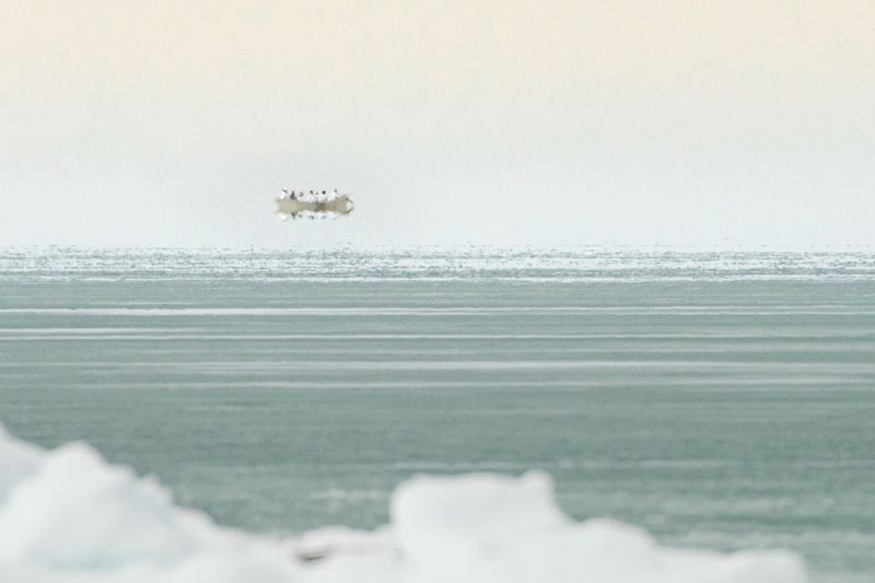 © Kiliii Yuyan - Image from the Land is life photography project