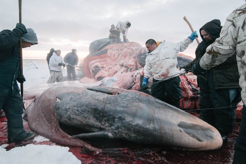 © Kiliii Yuyan - Image from the Land is life photography project