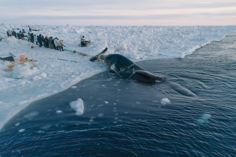 © Kiliii Yuyan - Image from the Land is life photography project