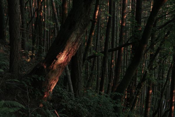 © Kiliii Yuyan - Image from the Thin Places photography project