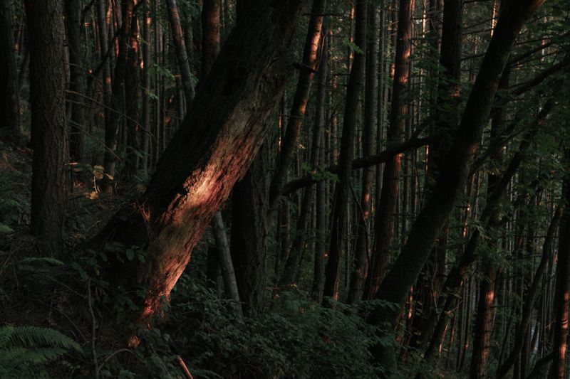 © Kiliii Yuyan - Image from the Thin Places photography project