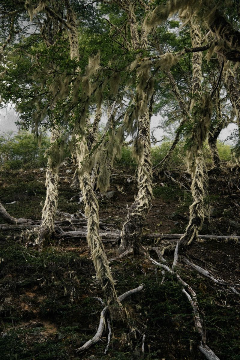 © Kiliii Yuyan - Image from the Thin Places photography project