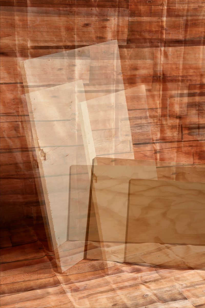 © Marco Scozzaro - Legname, 2019