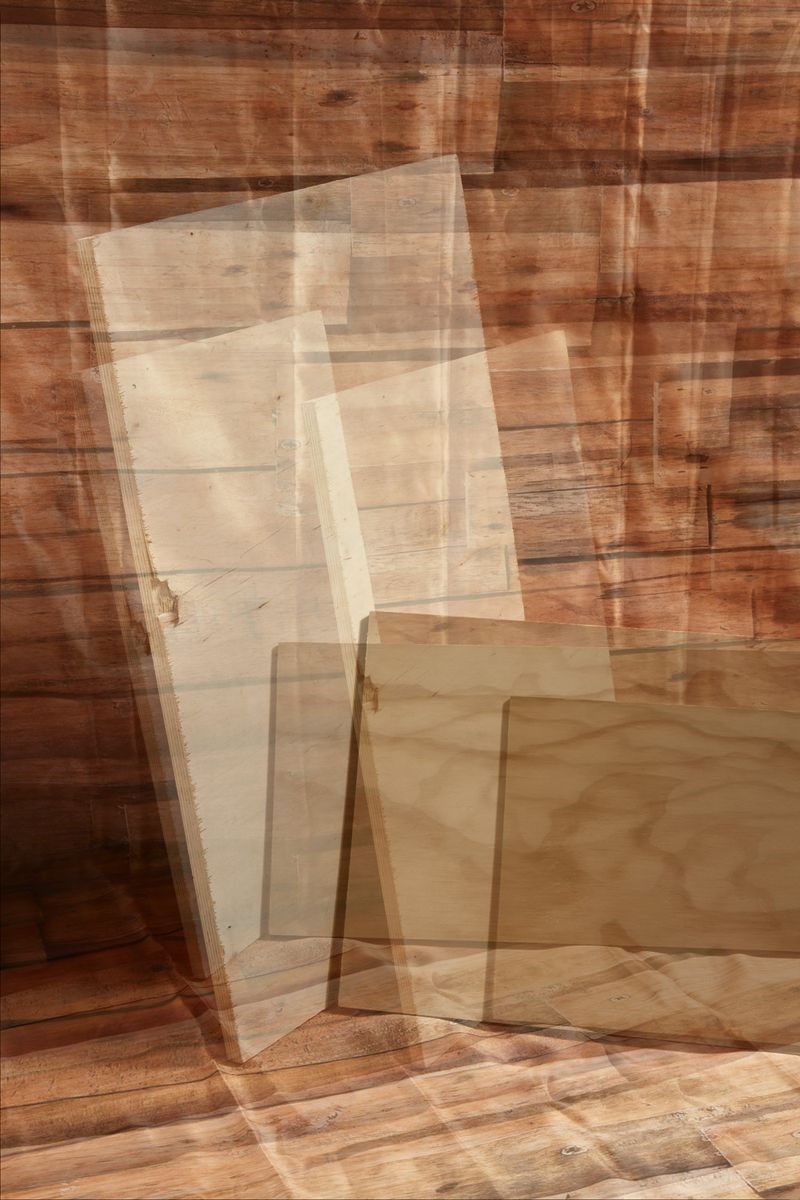 © Marco Scozzaro - Legname, 2019