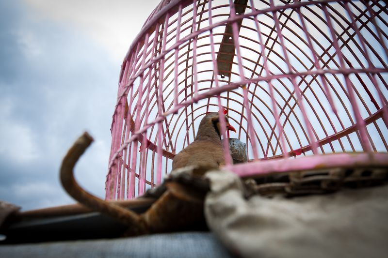 © Shai Chishty - With conditions worsening and needs increasing, who knows what the future holds for the families of Nasaji Baghrami.