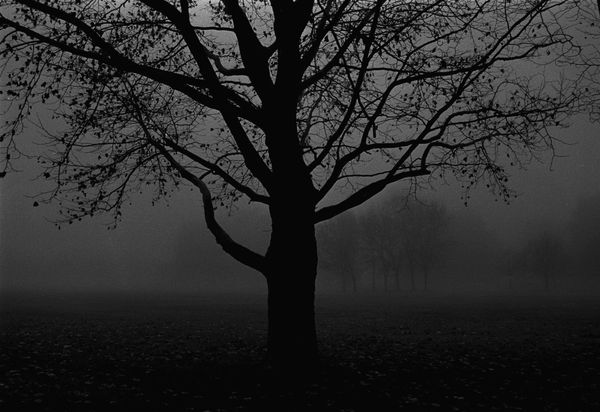 © Monty Kaplan - Image from the The Measure photography project