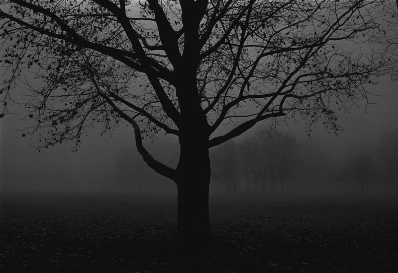 © Monty Kaplan - Image from the The Measure photography project