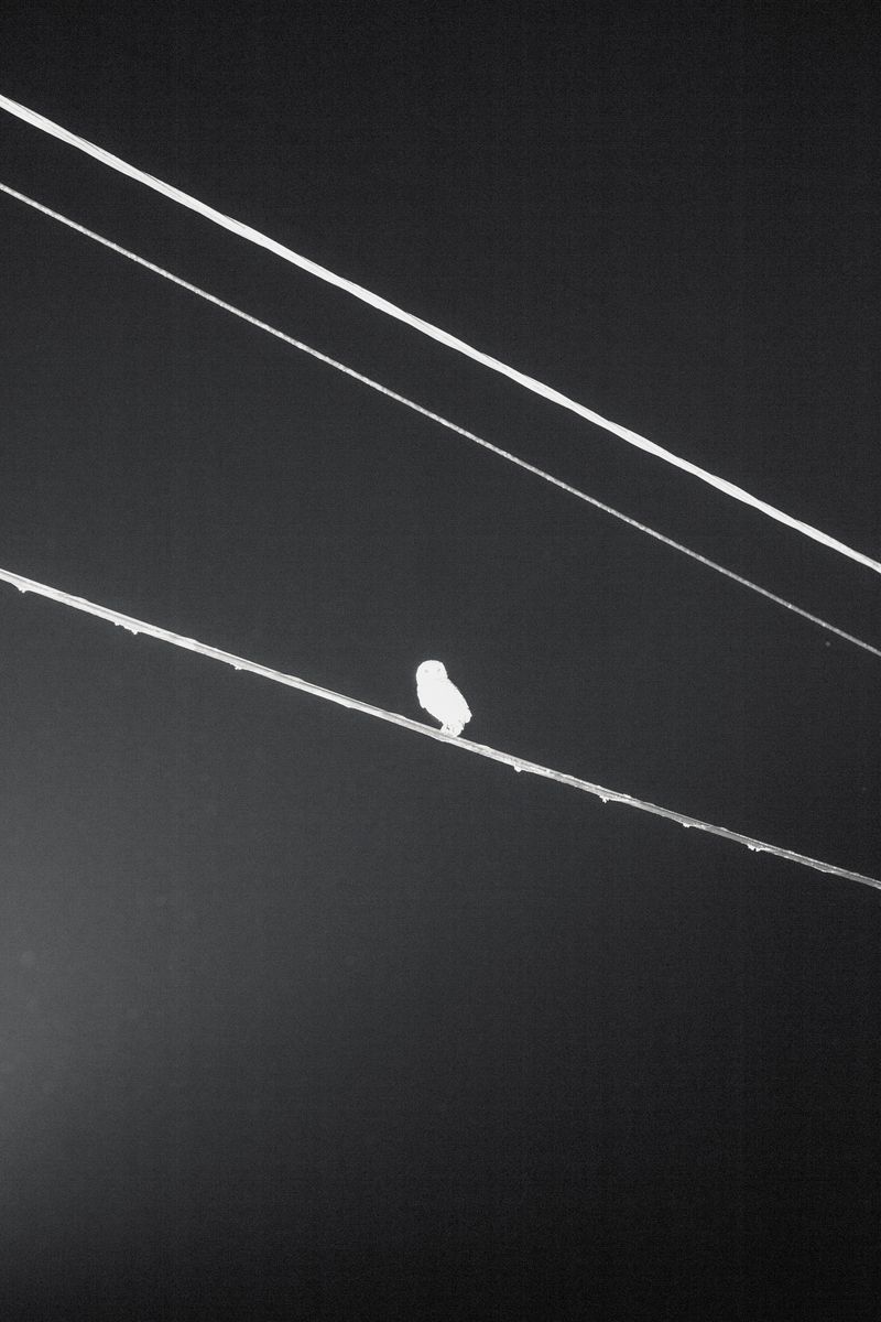 © Monty Kaplan - Image from the Nocturno photography project