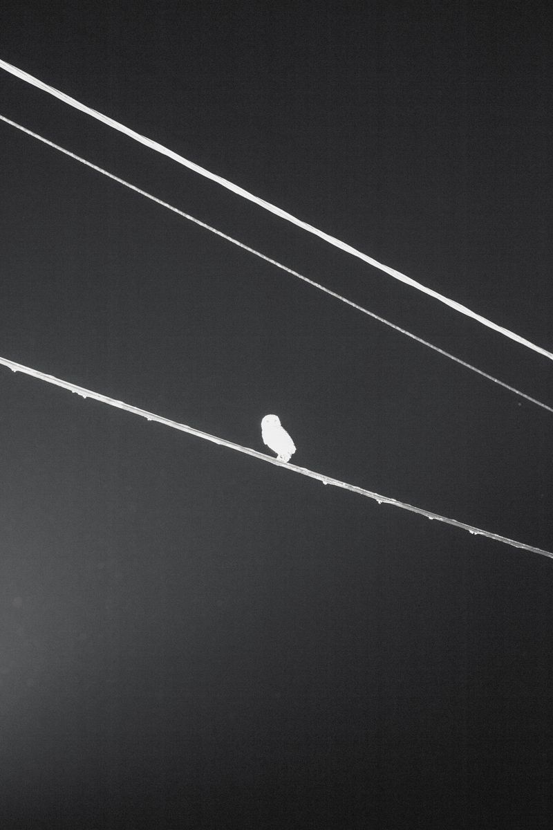 © Monty Kaplan - Image from the Nocturno photography project