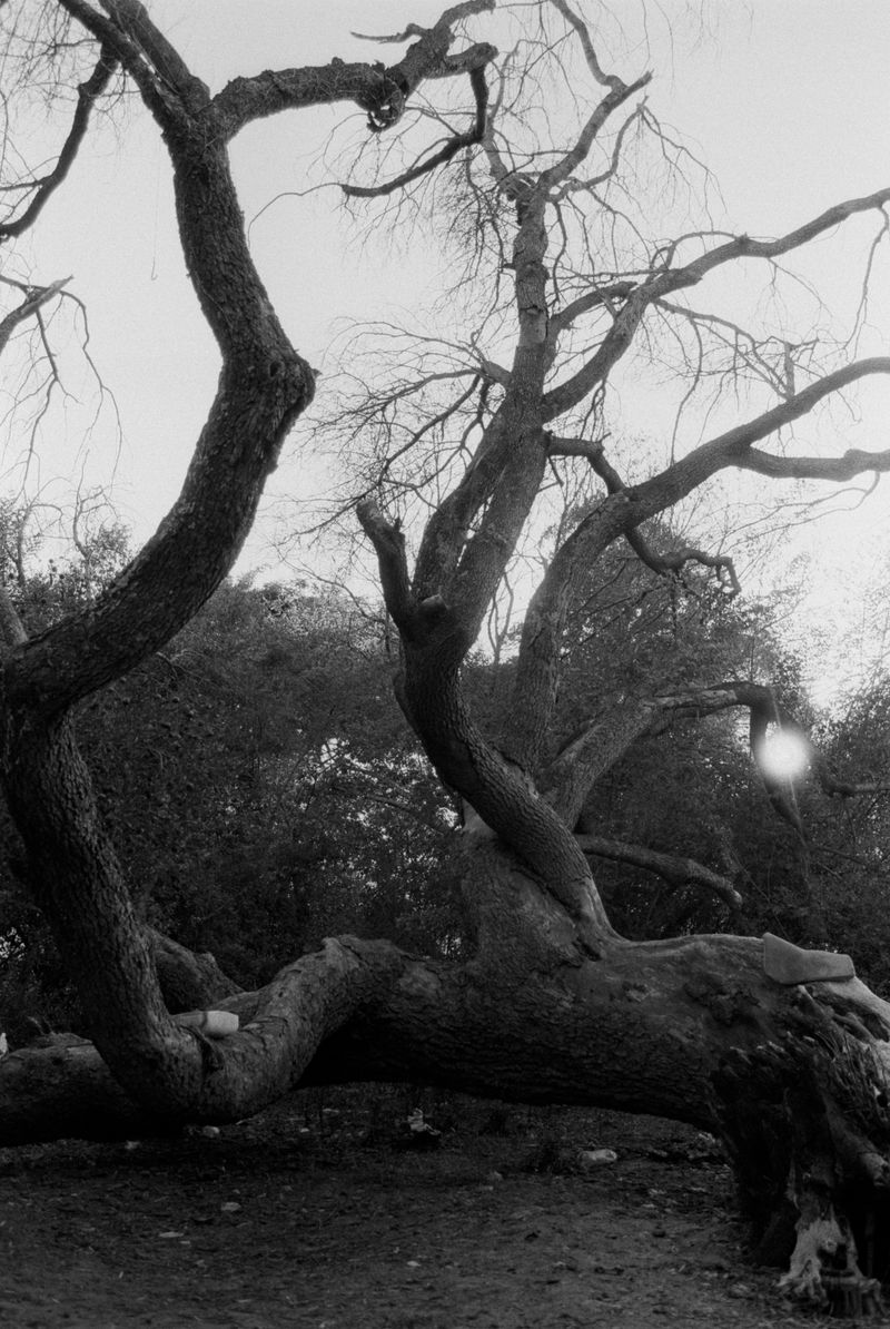 © Monty Kaplan - Image from the Paraíso photography project