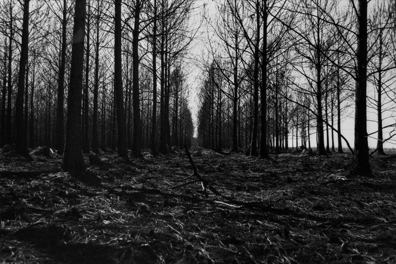 © Monty Kaplan - Image from the Paraíso photography project