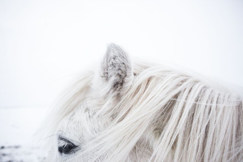 © Andrea Roversi - Image from the Dauðalogn photography project