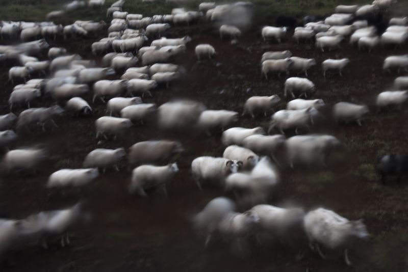© Andrea Roversi - Image from the Dauðalogn photography project