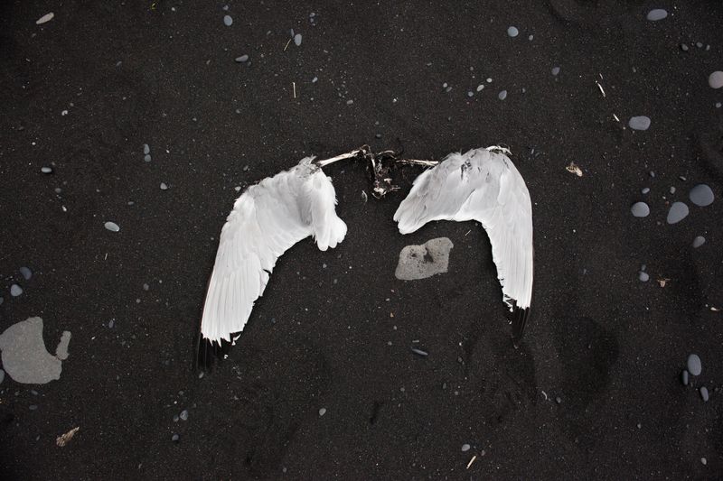 © Andrea Roversi - Image from the Dauðalogn photography project