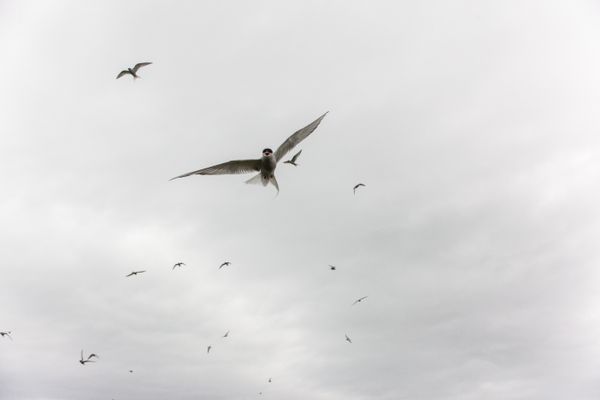 © Andrea Roversi - Image from the Dauðalogn photography project