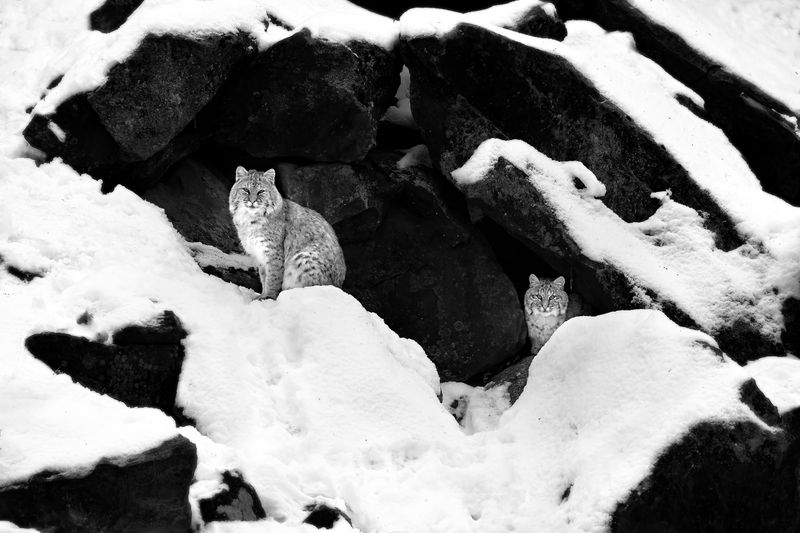 © Shannon Culpepper - Image from the Life Uncharted photography project