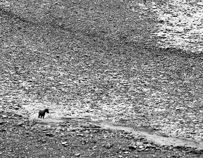 © Shannon Culpepper - Image from the Life Uncharted photography project