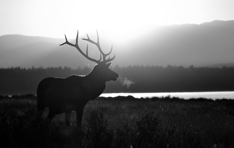 © Shannon Culpepper - Image from the Life Uncharted photography project