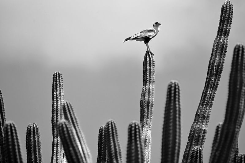 © Shannon Culpepper - Image from the Life Uncharted photography project