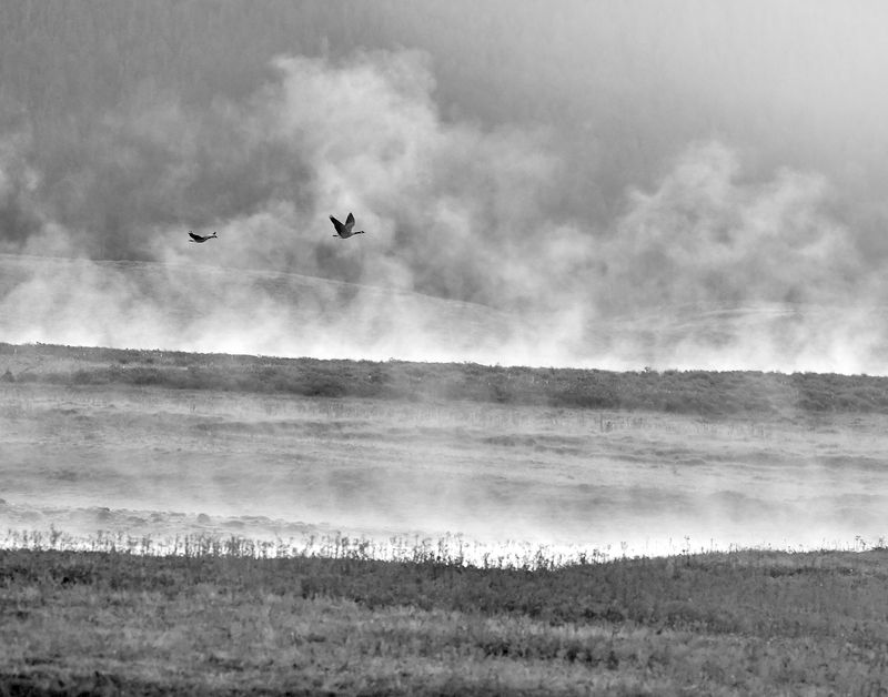 © Shannon Culpepper - Image from the Life Uncharted photography project