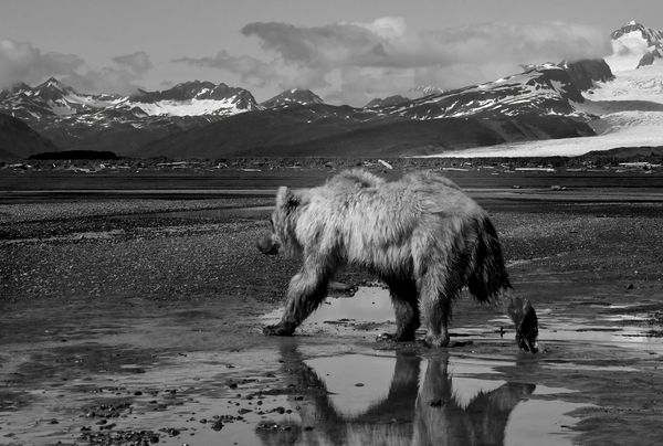 © Shannon Culpepper - Image from the Life Uncharted photography project