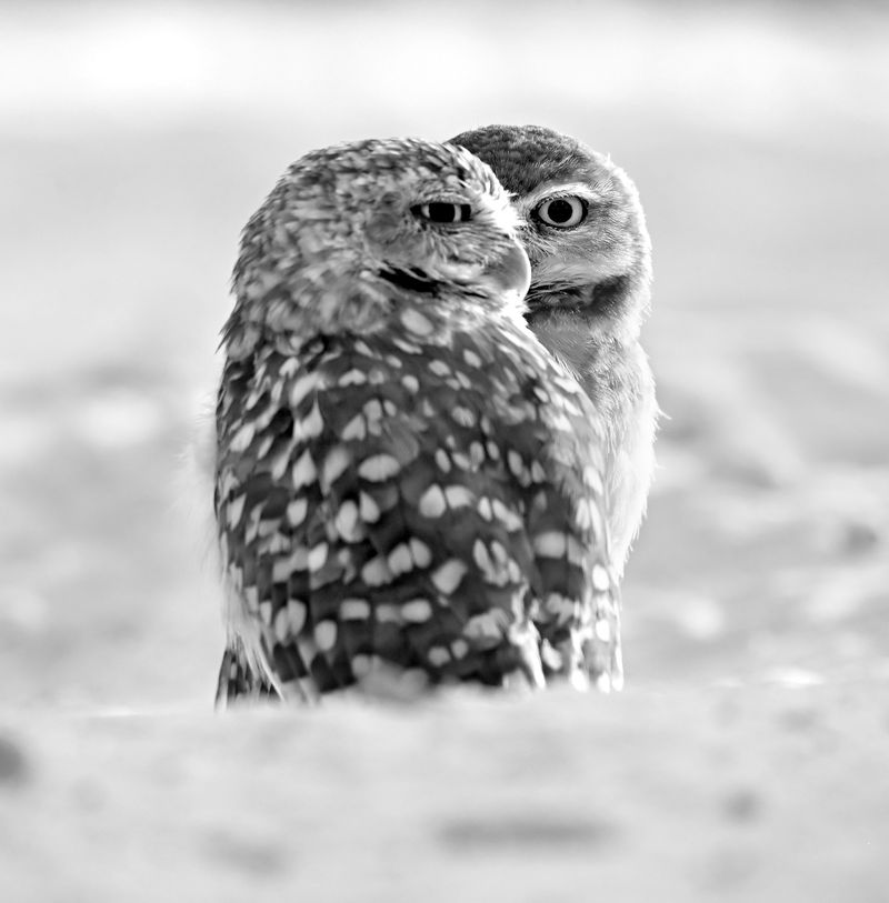 © Shannon Culpepper - Image from the Life Uncharted photography project