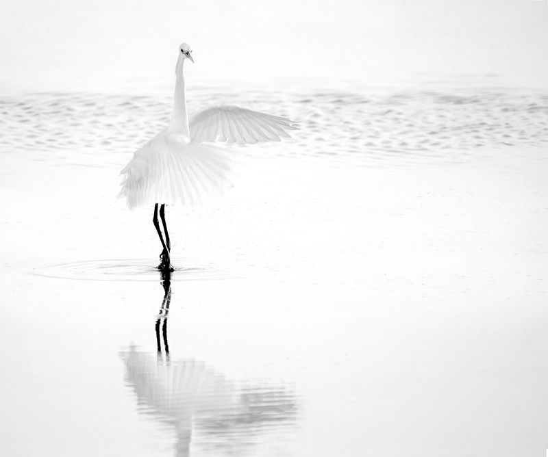 © Shannon Culpepper - Image from the Life Uncharted photography project