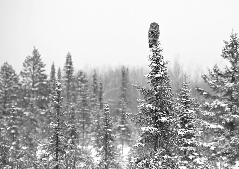 © Shannon Culpepper - Image from the Life Uncharted photography project