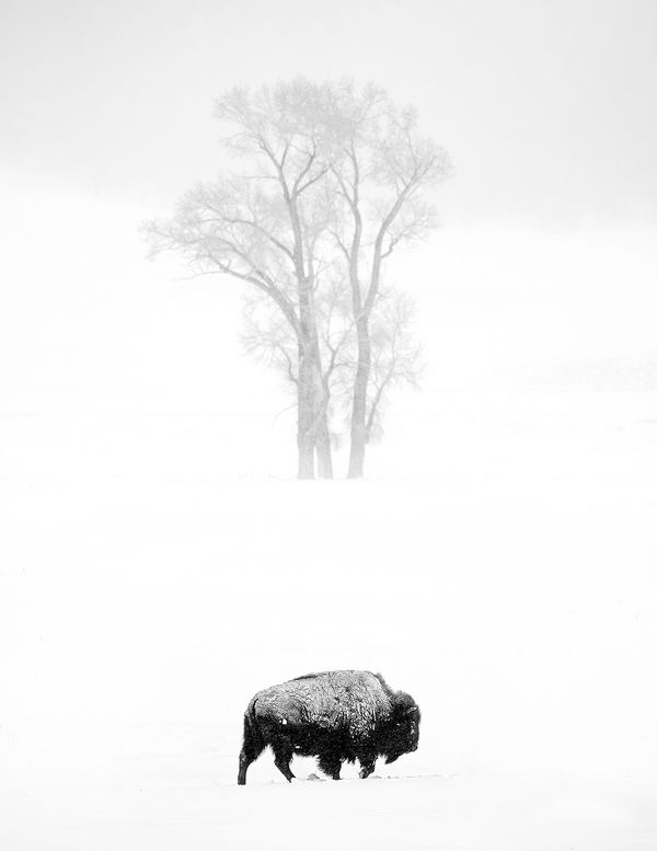 © Shannon Culpepper - Image from the Life Uncharted photography project