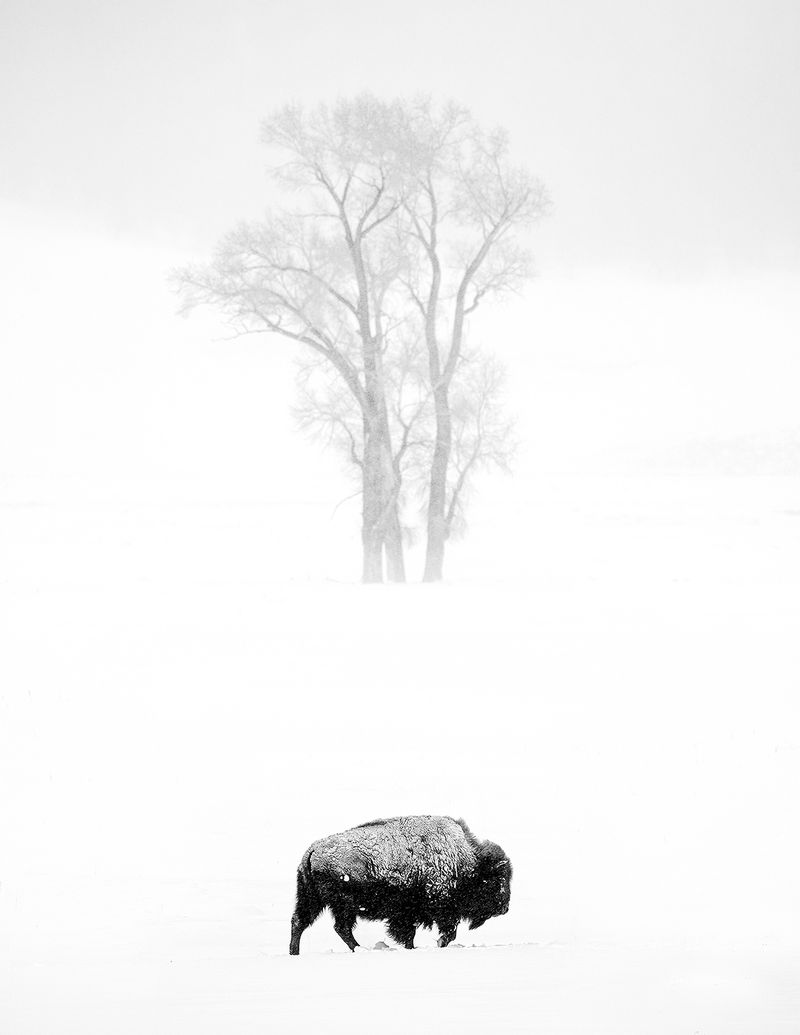 © Shannon Culpepper - Image from the Life Uncharted photography project