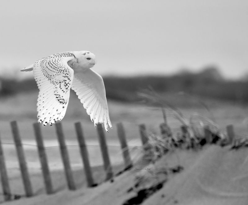 © Shannon Culpepper - Image from the Life Uncharted photography project